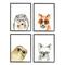 Stupell Industries Adorable Forest Animals with Glasses Owl Fox Framed Wall Art